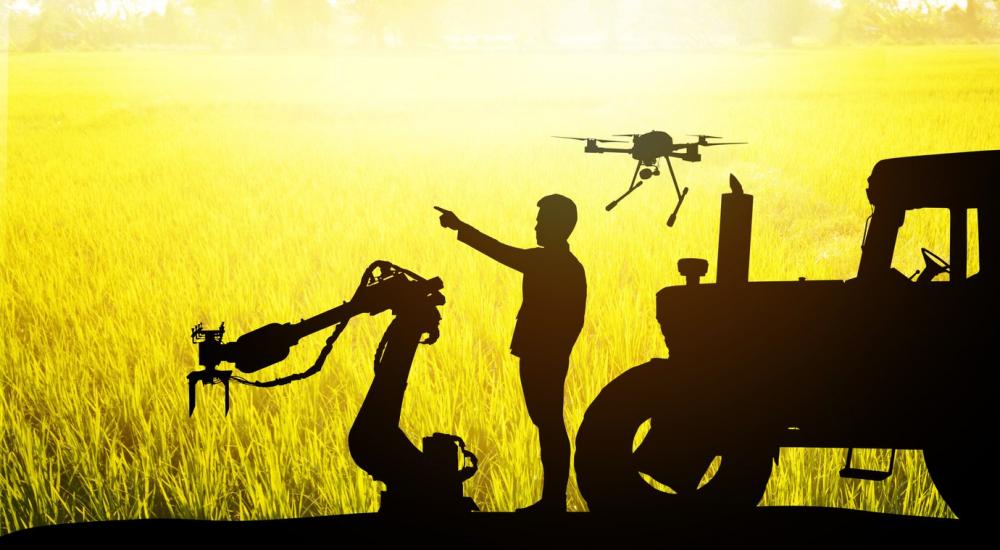 The 6 Most Amazing AI Advances in Agriculture