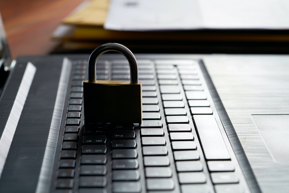 Job Role: Network Administrator