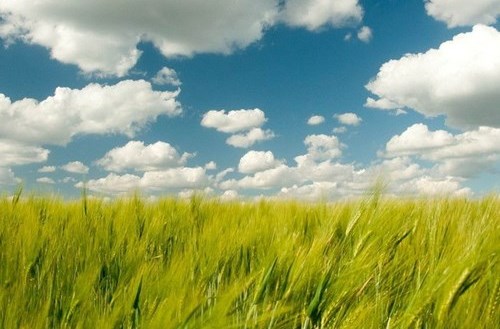 Cloud Evolution: How We See and Use the Cloud Has Changed